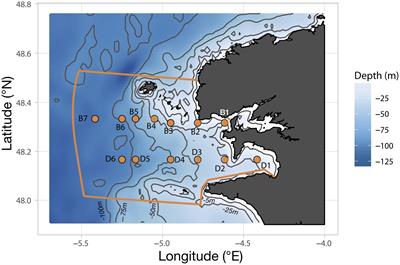 The Seasonal and Inter-Annual Fluctuations of Plankton Abundance and Community Structure in a North Atlantic Marine Protected Area